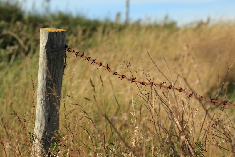 Pasture Fence Repair detail